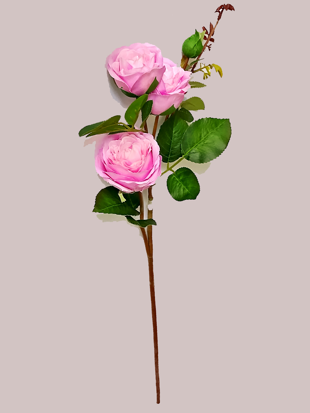 Artificial Garden Rose Spray – Soft Pink (55cm)