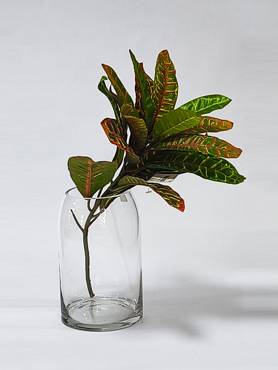 Tapered Clear Glass Barrel Vase - 19.5cm