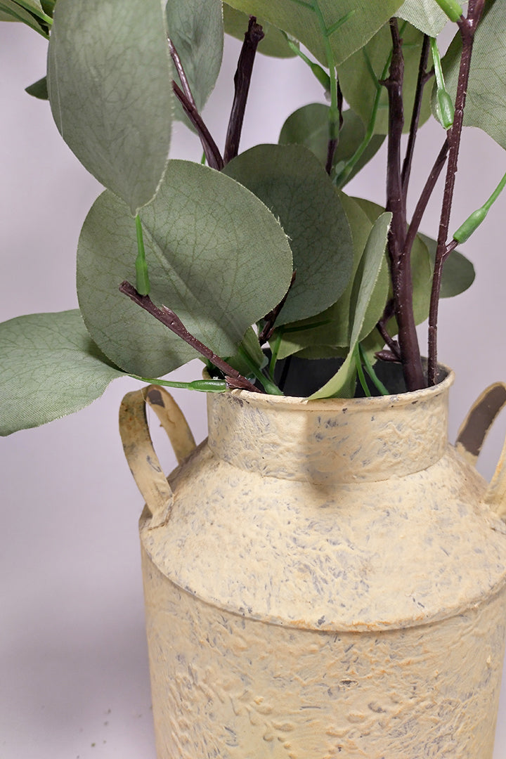 Silver Dollar Eucalyptus in Rustic Vase