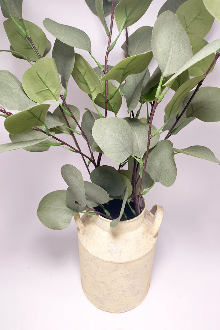 Silver Dollar Eucalyptus in Rustic Vase