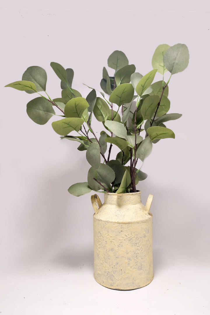 Silver Dollar Eucalyptus in Rustic Vase