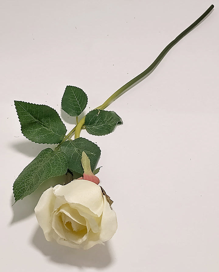 White Rose Stalk (with Leaves)