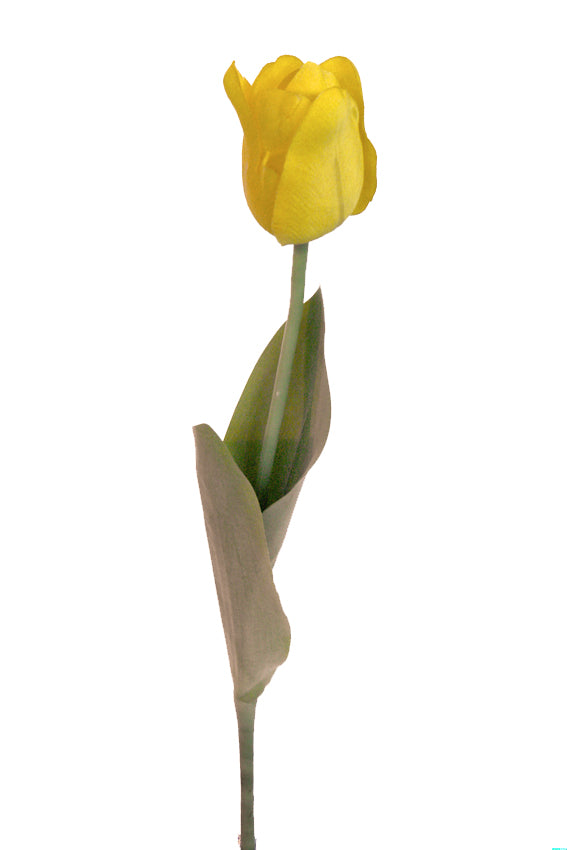 Stalk - Tulip Style 1 - 1210972-Yellow