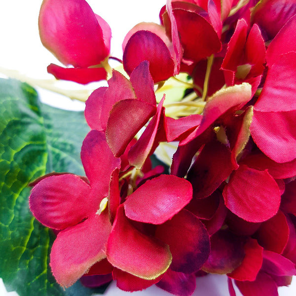 Hydrangea Stalk Hydrangea Stem/Stalk - Red - Red Acacia Lagos