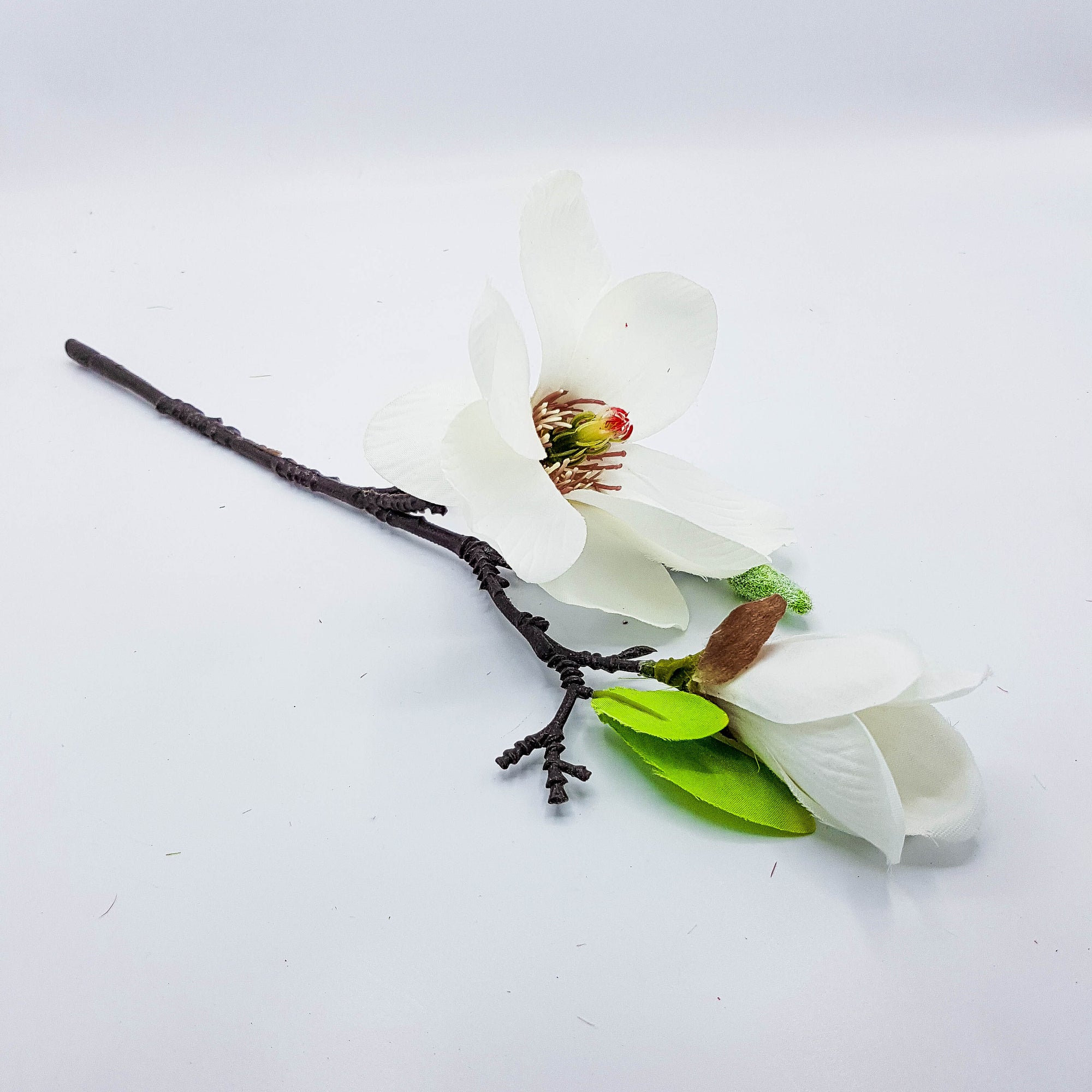 Magnolia Stem/Stalk - White