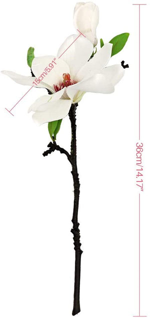 Magnolia Stem/Stalk - White
