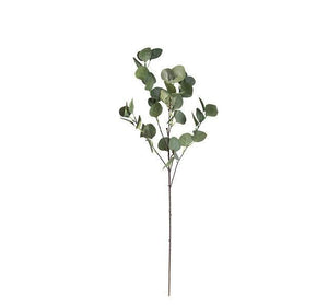 Long Eucalyptus Stalk - Green - 84cm