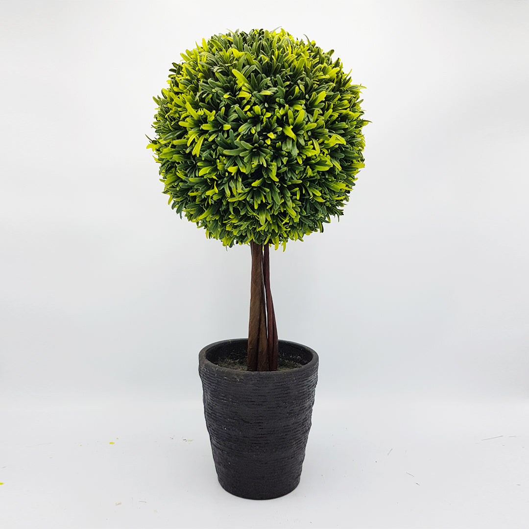 Potted Desk Tree