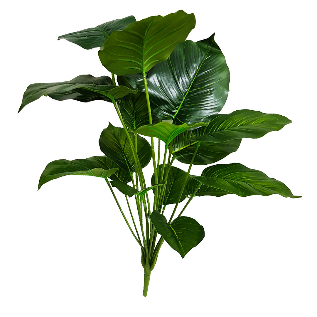 Tropical Plants - Greenery Plant - BIG