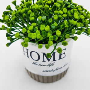 Potted Plant - Home Vase