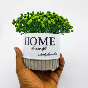 Potted Plant - Home Vase