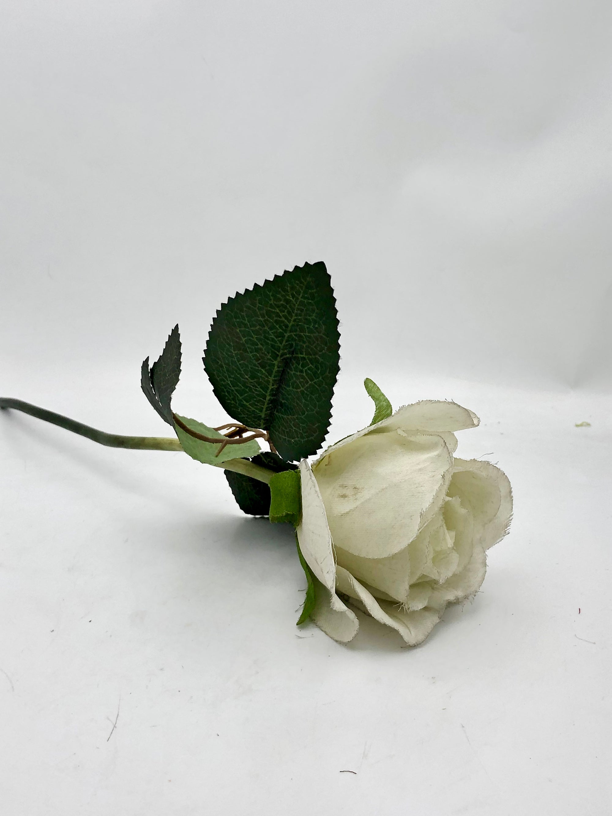 Short White Rose Stalk with Leaves (old stock)
