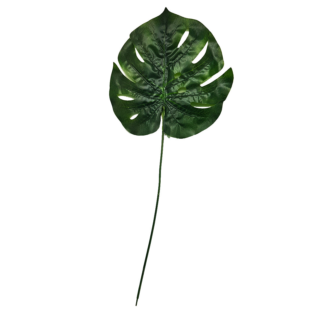 Tropical Plants -  Monstera Leaf Type 2