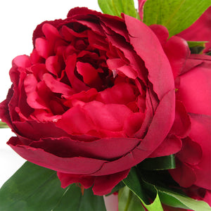 Red Peonies Bunch