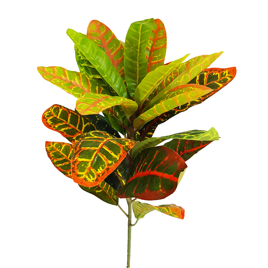 Tropical Plants - Red Yellow Greenery Plant