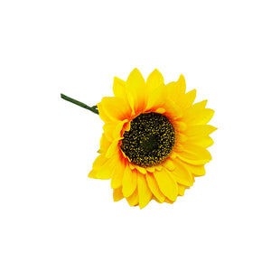 Single Sunflower Stalk