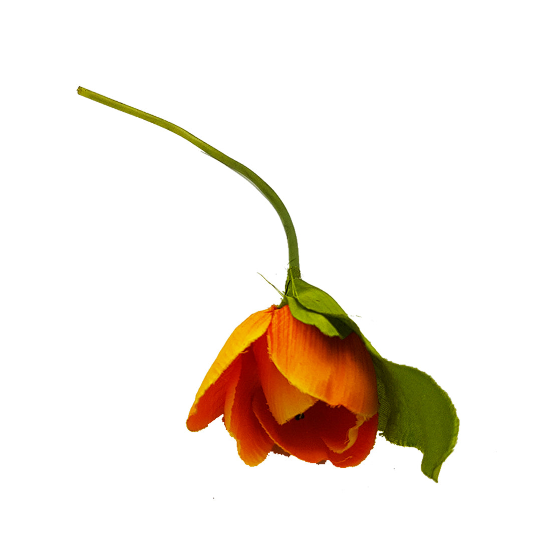 Stalk - Tulip Style 2 - Orange