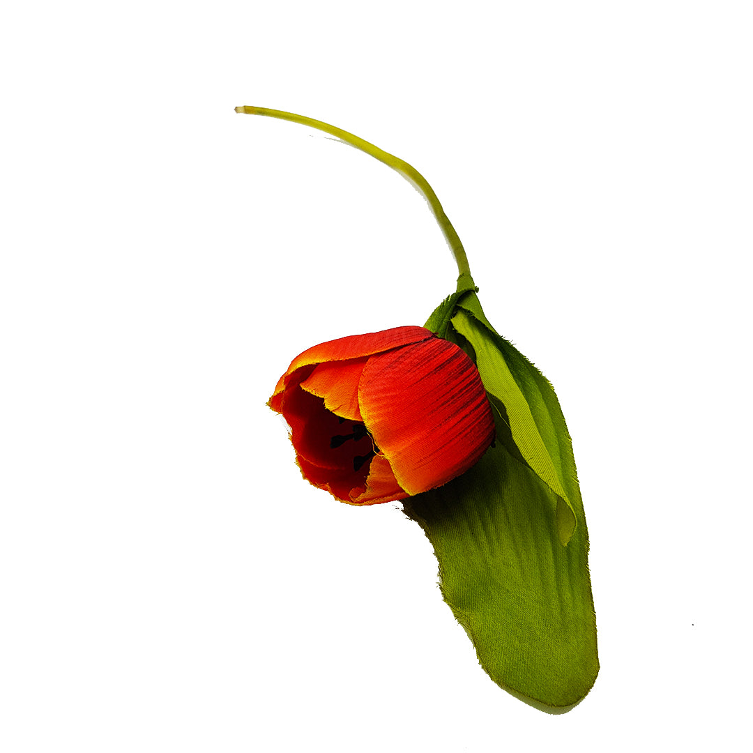 Stalk - Tulip Style 2 - Red