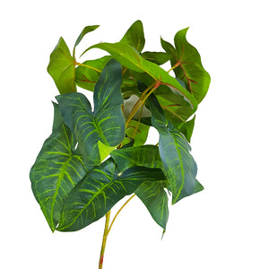 Tropical Plants - Tropical Green Plant