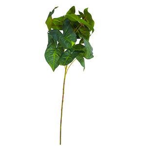 Tropical Plants - Tropical Green Plant