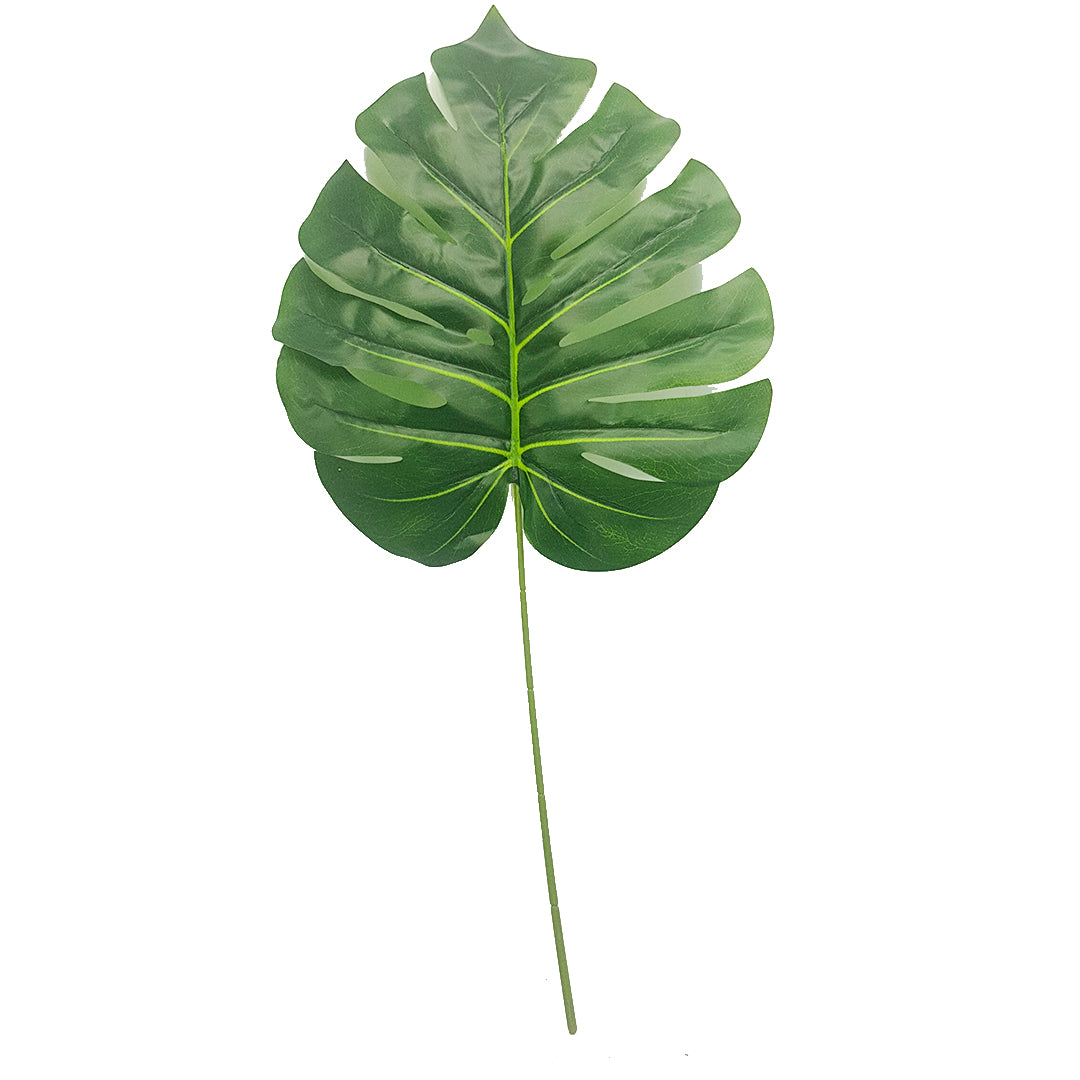 Tropical Plants -  Monstera Leaf Type 1