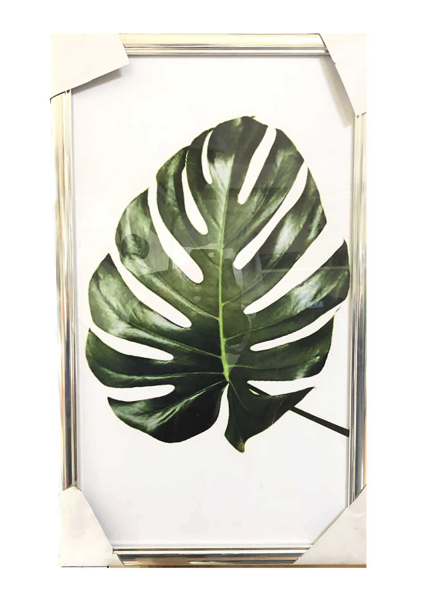 Silver-Framed Leaf - Wall Art - Monstera Leaf